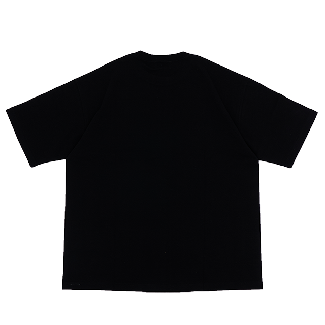 STREETSMART(ストリートスマート)CLASSIC LOGO TEE black back